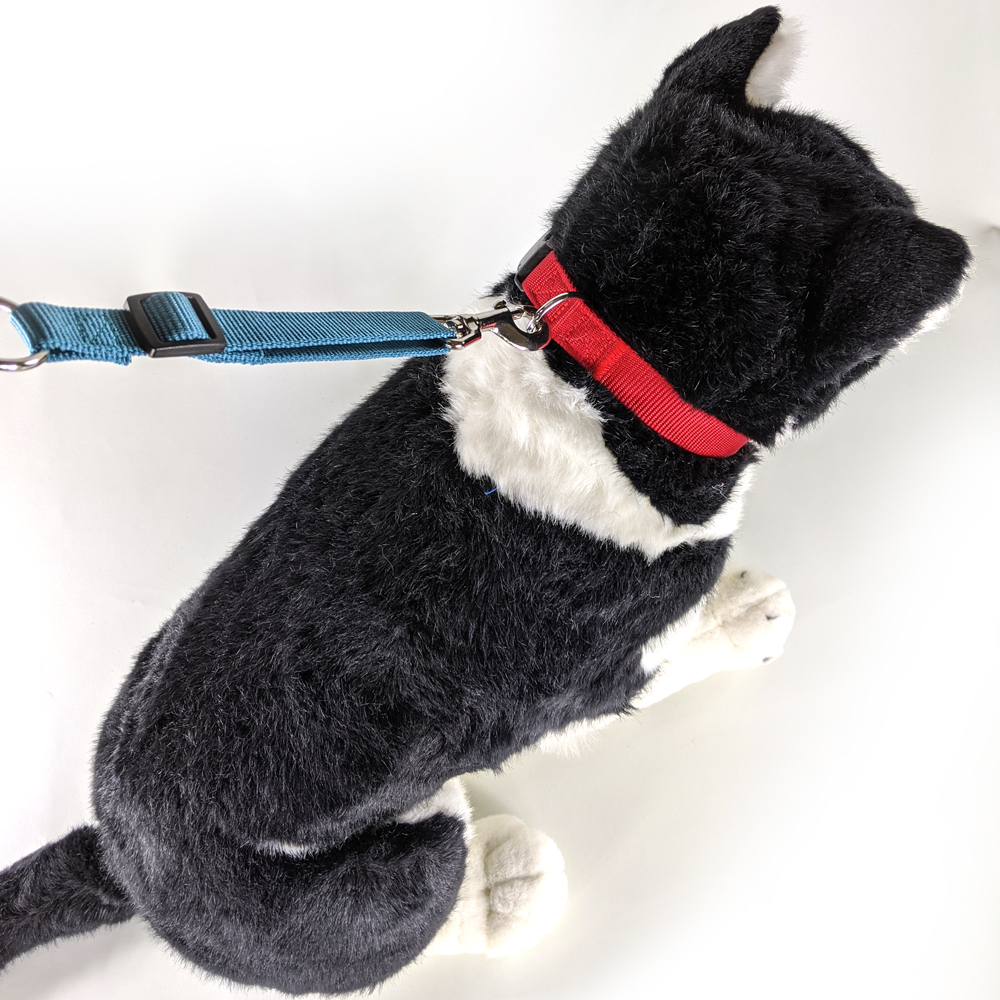 首輪とリードのセット、上面図